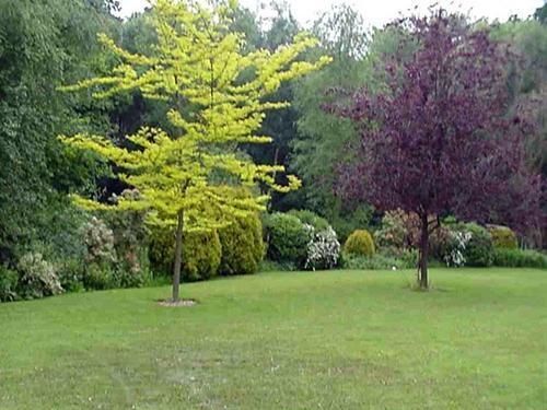 Linchens Bed And Breakfast Felbridge Luaran gambar